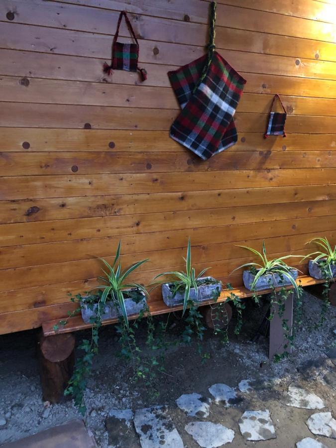 Domeniul Horj Casa Din Deal Moisei Exterior foto
