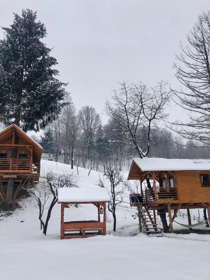 Domeniul Horj Casa Din Deal Moisei Vila Exterior foto